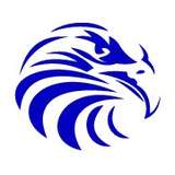 Falcon Stainless Logo