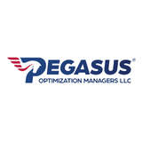 Pegasus Optimization Managers Logo