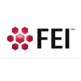 FEI Logo