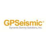Dynamic Survey Solutions Logo