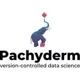 Pachyderm Logo