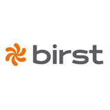 Birst Logo