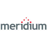 Meridium Logo