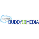 Buddy Media Logo