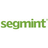 Segmint Logo