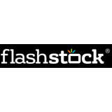 Flashstock Logo