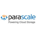 ParaScale Logo