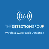 The Detection Group Logo