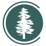 Conifer Insurance Logo