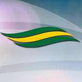 Property Damage Appraisers Logo