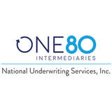 National Underwriting Services Logo