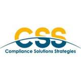 CSS Logo