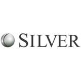 Silver Management Logo