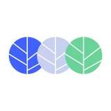 Paymints.io Logo