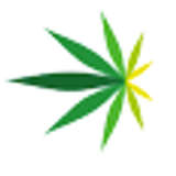 American Cannabis Company Logo
