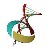 IVD Vision Logo