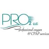 Pro2 Logo
