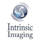 Intrinsic Imaging Logo