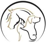 Animal Imaging Logo
