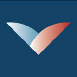 Vascular Simulations Logo