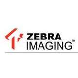 Zebra Imaging Logo
