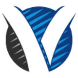 Verus Technology Logo