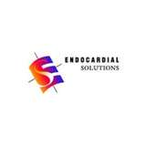 Endocardial Solutions Logo