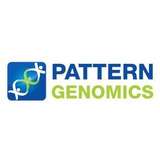 Pattern Genomics Logo
