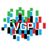 Video Genome Project Logo