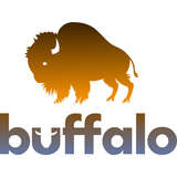 Buffalo Studios Logo