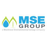 MSE Logo