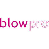 Blowpro Logo