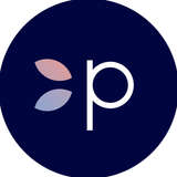 Perch Interactive Logo