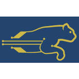 Blue Cheetah Analog Design Logo