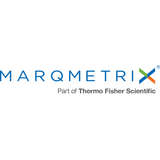 MarqMetrix Logo