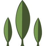 Bright Agrotech Logo