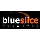 Blueslice Logo