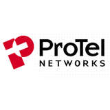 Protel Networks Logo