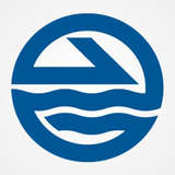 BDP International Logo