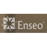 Enseo Logo