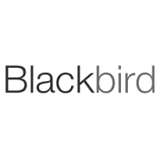 Blackbird.AI Logo