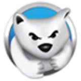 Wombat Security Logo