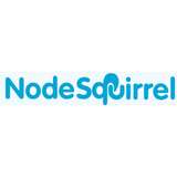 NodeSquirrel Logo