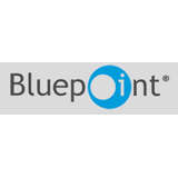 Bluepoint Games Logo