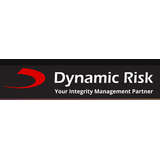 Dynamic Risk Logo