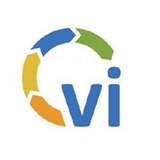 viGlobal Logo