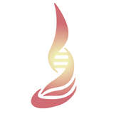 Spindle Logo
