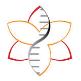 Amaryllis Nucleics Logo