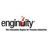 Enginuity Logo