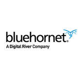 BlueHornet Logo